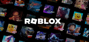 Roblox introduced facial age certification and scanned multiple angles to prevent photo masking. Fuck.